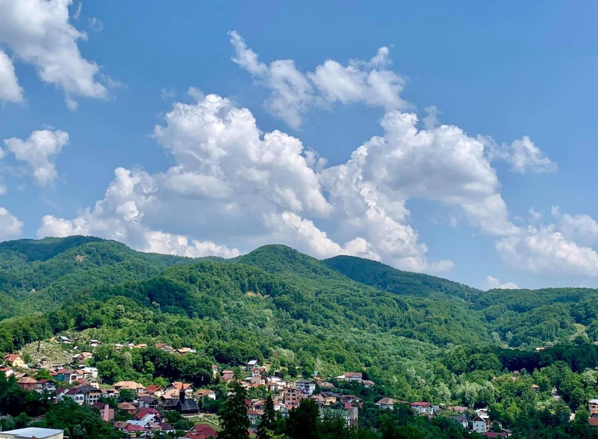 Hotel Casa Olanesti Băile Olăneşti Exterior foto