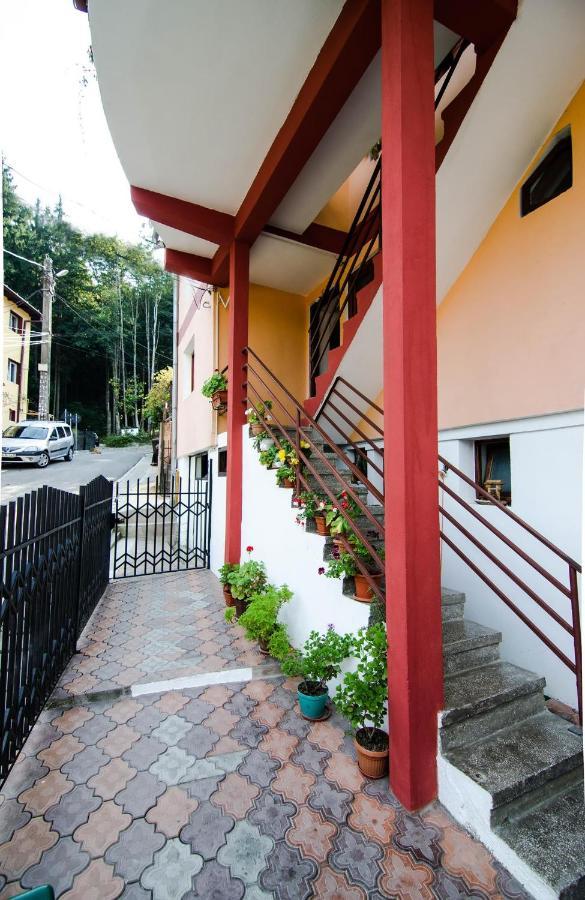Hotel Casa Olanesti Băile Olăneşti Exterior foto