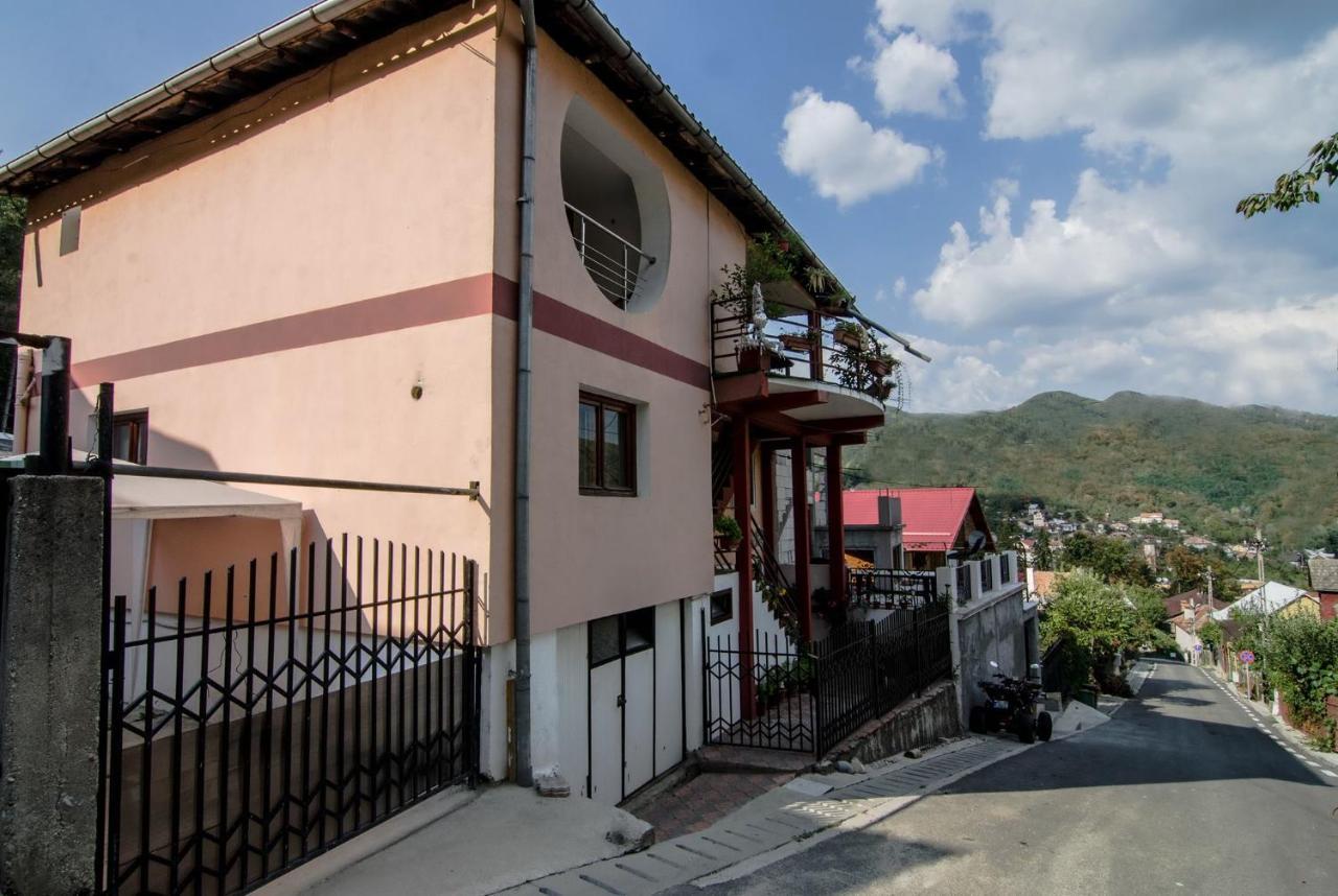 Hotel Casa Olanesti Băile Olăneşti Exterior foto